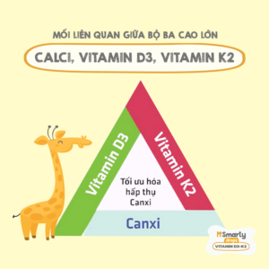 Bộ ba tăng chiều cao: canxi, vitamin D3, vitamin K2