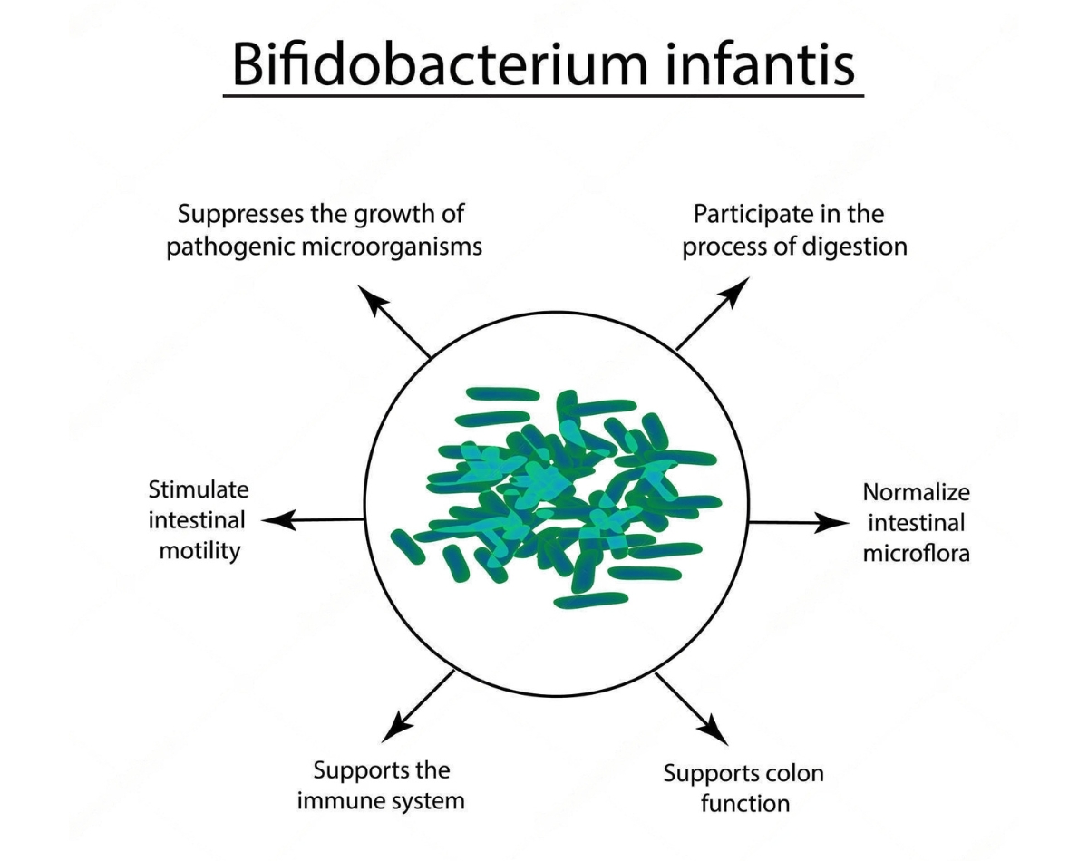 10 chủng lợi khuẩn trong Men vi sinh 10 chủng M'smarty Probiotics có tác dụng thế nào với hệ tiêu hóa của trẻ sơ sinh và trẻ nhỏ 4