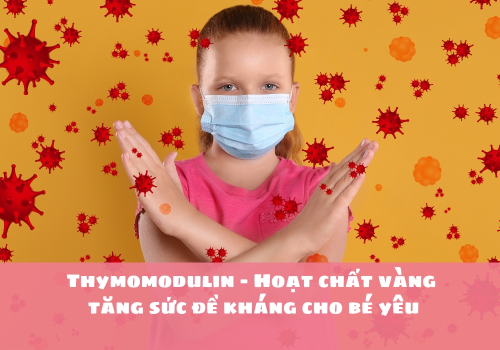 Thymomodulin - Hoạt chất vàng tăng sức đề kháng cho bé yêu